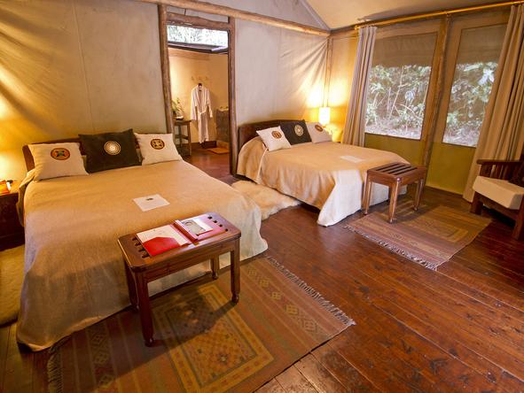 Gorilla Forest Camp - Bedroom2